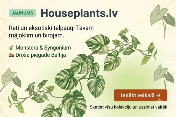Telpaugu veikals